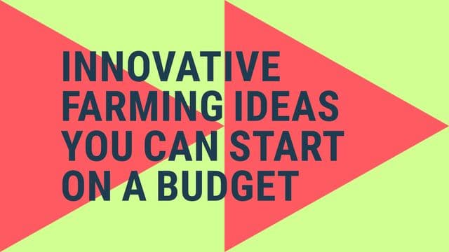 Image on innovative farming ideas