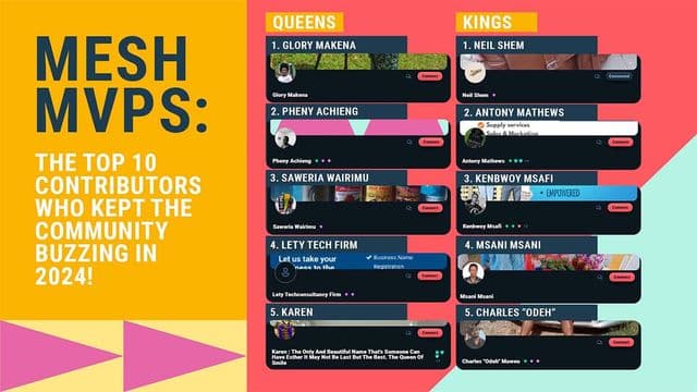 image showing top contributing meshers 