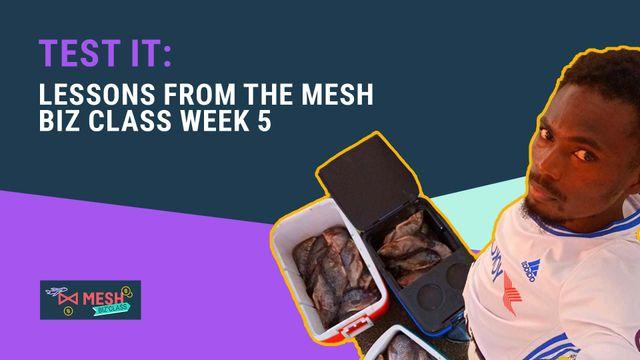 Visual text of Test It: Lessons from MESH biz class WK 5