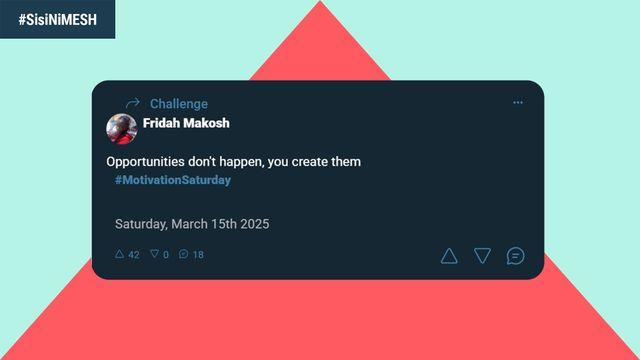 Visual screenshot of post of Fridah Makosh on MESH