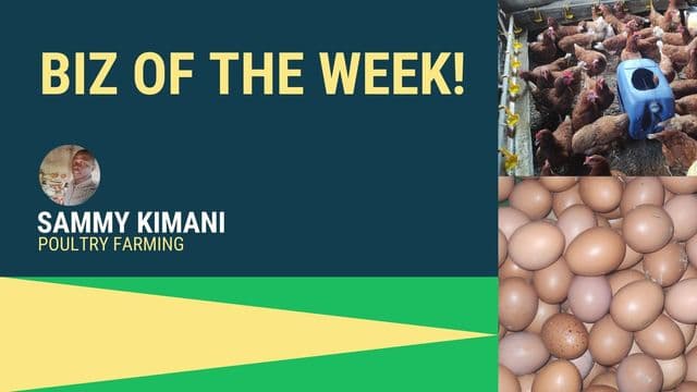 Visual text of Biz of The Week: Sammy Kimani alongside eggs