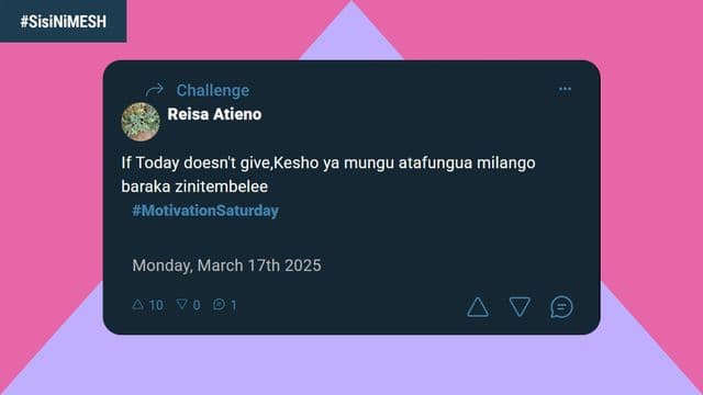 Visual text of SisiNiMESH with a post screenshot from MESH