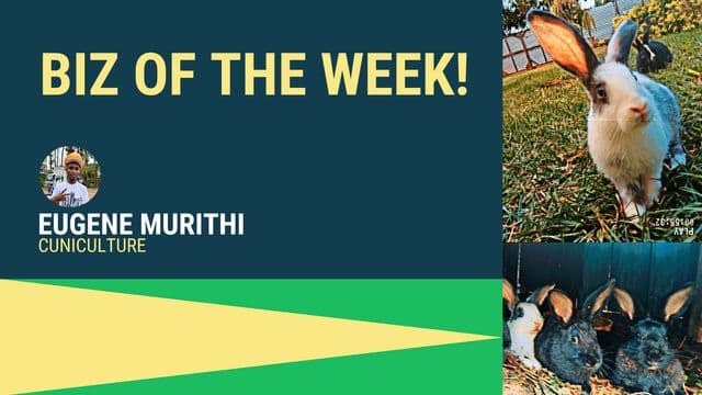 🙌 Biz of The Week: Eugene Murithi