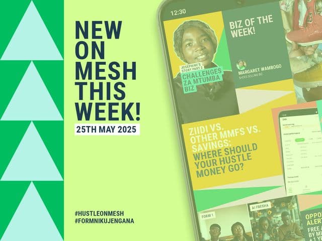 Visual text of New on MESH this week