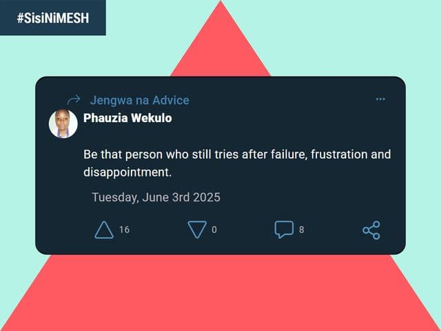 Screenshot of Phauzia's post on MESH