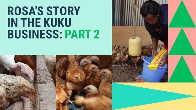 Image of chicken and farmer