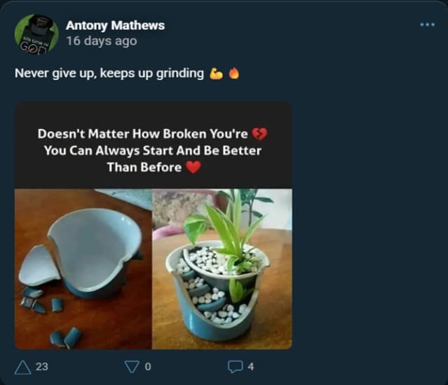 Screenshot of Antony's post on MESH