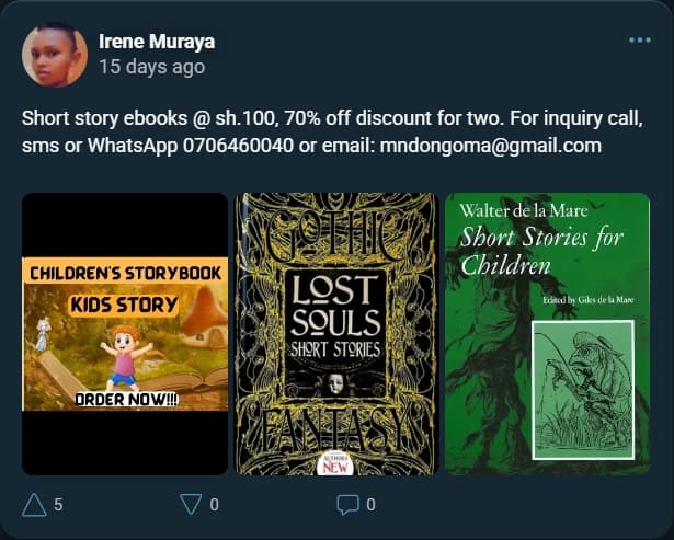 Screenshot of Irene's post on MESH