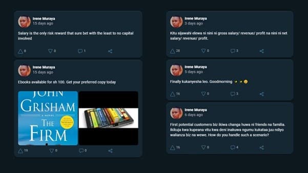 Screenshot of Irene's post on MESH