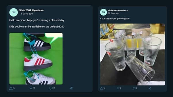 Screenshot of Sylvia's post on MESH