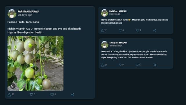 Screenshot of Jamilas posts on MESH