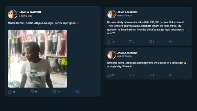 Screenshot of Faridah's posts on MESH