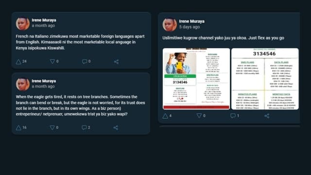 Screenshot of Irene's posts on MESH