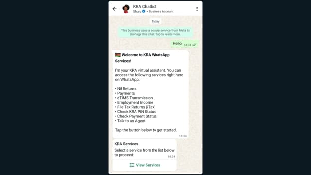 Visual screenshot of WhatsApp Chatbot texts displaying options once you text Hi