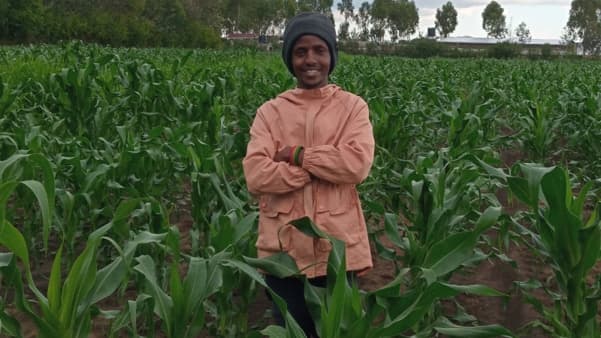 Visual of Leo standing on his maize farm smiling