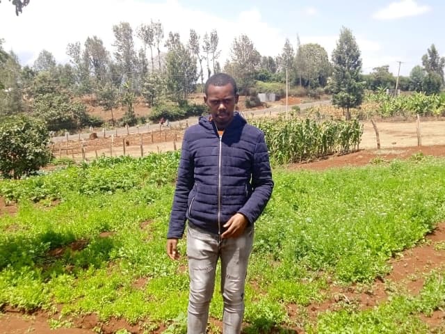Picture of Viking Karundi in a farm