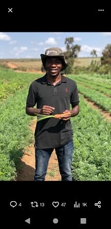 a farmer holding a carrot