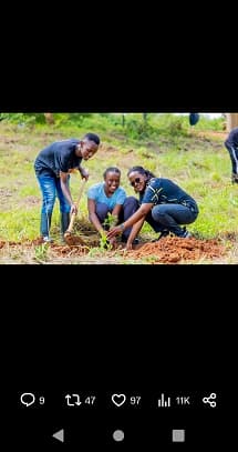 people planting a tree