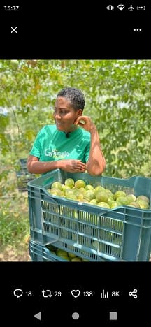 a farmer havesting fruits