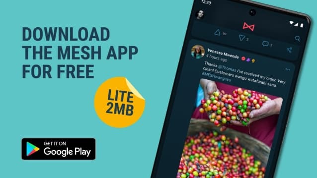 mesh app download