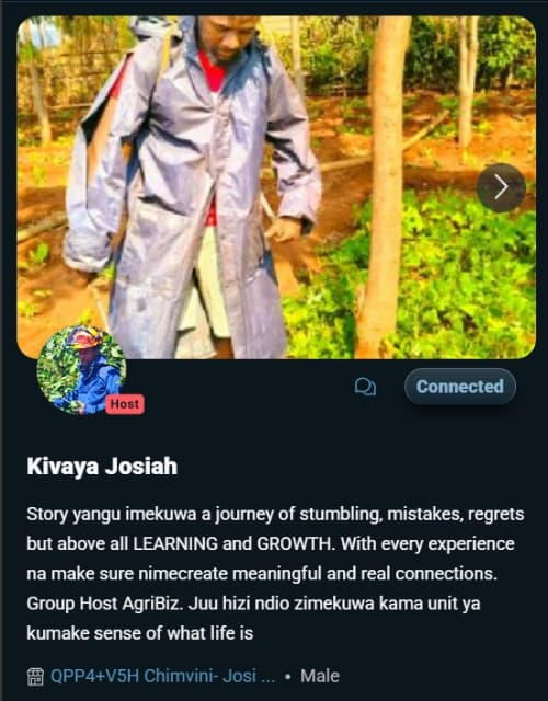 Image of Kivaya's MESH image
