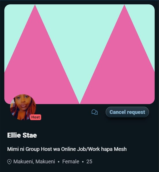 Image of Ellie's MESH profile