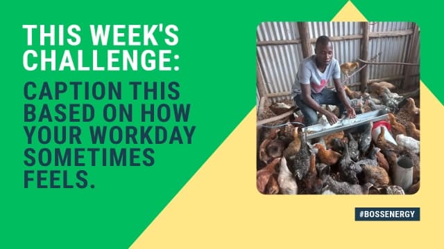 Visual text of challenge title alongside a chicken farmer
