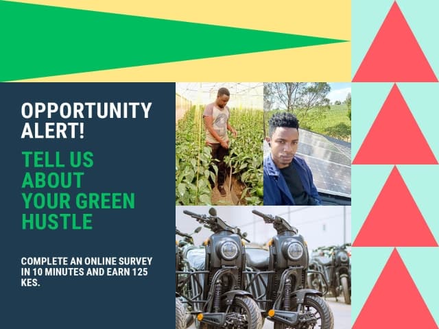 Tell us about your green hustle