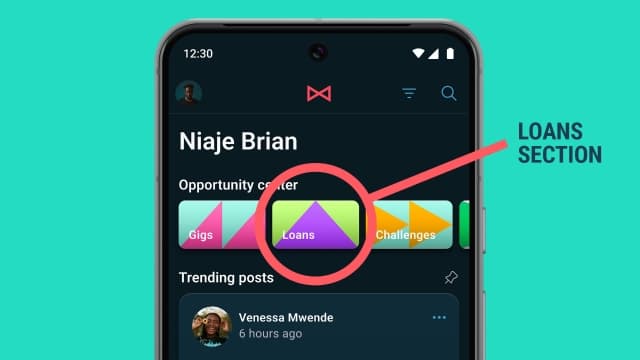 Visual of MESH feed showing opportunity section - Loans specifically