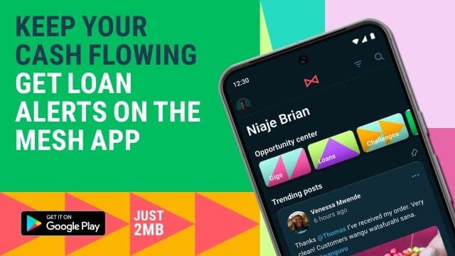 Visual text to download the MESH App to get loan alerts